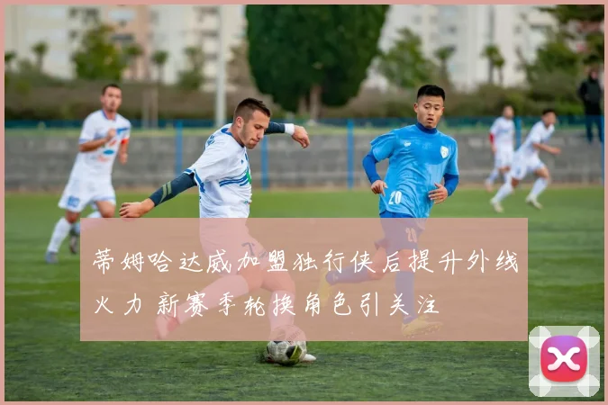 蒂姆哈达威加盟独行侠后提升外线火力 新赛季轮换角色引关注