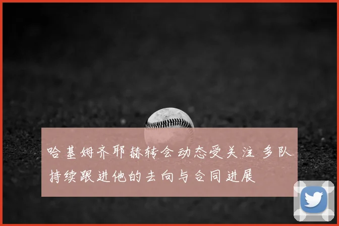 哈基姆齐耶赫转会动态受关注 多队持续跟进他的去向与合同进展