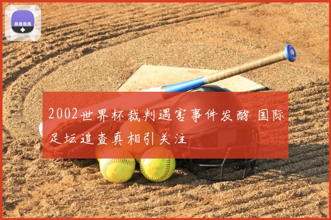 2002世界杯裁判遇害事件发酵 国际足坛追查真相引关注